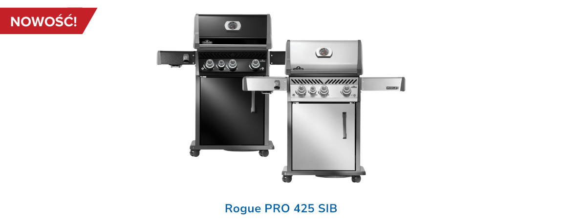 Rogue PRO 2025 r.