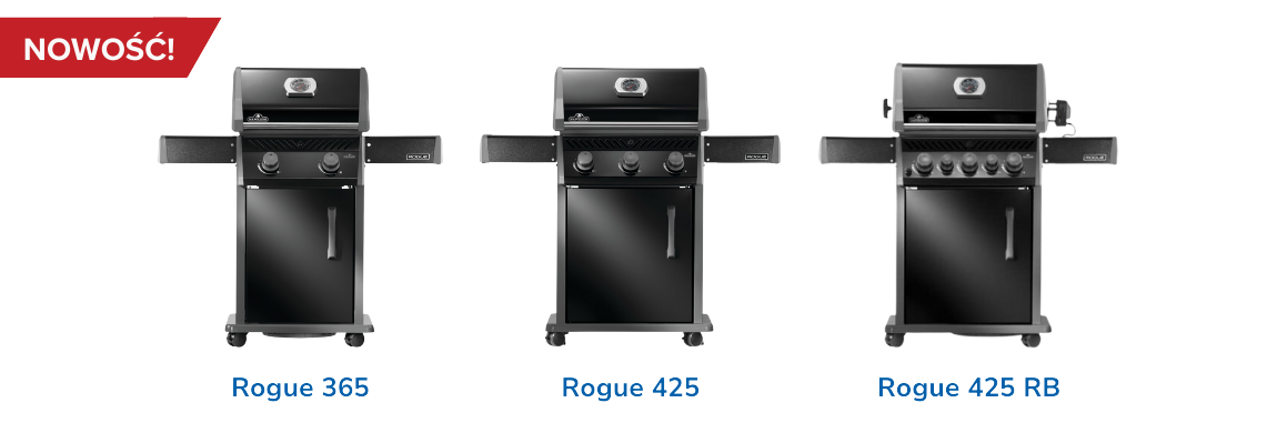 Rogue 2025 r.