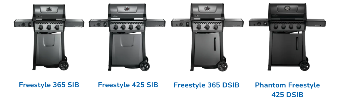 Freestyle SIB/DSIB 2025 r.