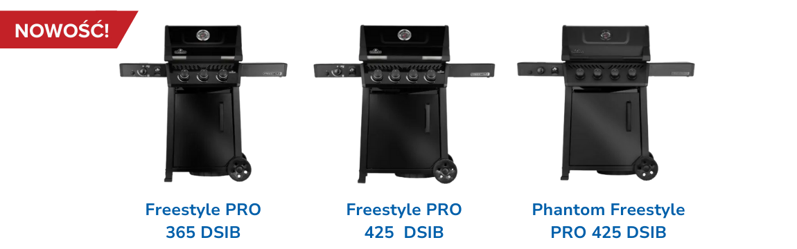 Freestyle PRO DSIB 2026 r.